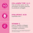 Collagen Peptides 10 gram Stick Packs, 20 Stick Packs