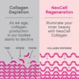 Grassfed Collagen Peptides, 7 oz (200 g) Powder