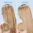 Sulfate-Free Clarifying Shampoo with Antioxidants2
