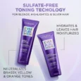 Sulfate Free Purple Shampoo for Toning Blonde Bleached Hair