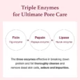 Fig Enzyme Powder Cleansersss