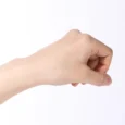 Surprise H Patchs